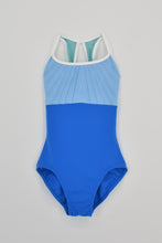 Load image into Gallery viewer, AK Aurora Motley Leo