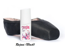 Load image into Gallery viewer, POINTE PEOPLE Paint
