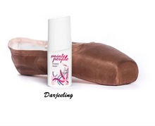 Load image into Gallery viewer, POINTE PEOPLE Paint
