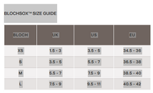 Load image into Gallery viewer, BlochSox Crew Length A1200
