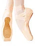 Gaynor Minden Pointe Shoes